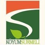 Sürmeli Köyü Kalkındırma ve Dayanışma Derneği ( Sürder)