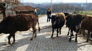 Karainek ve Eğriyüz Köyleri Ne Yana Düşer?