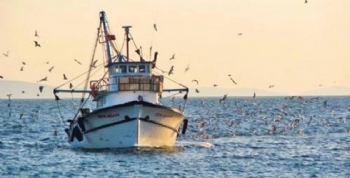 Karadeniz Cimri Davranıyor Karadeniz Cimri Davranıyor