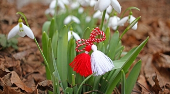 Çestita Baba Marta ! 